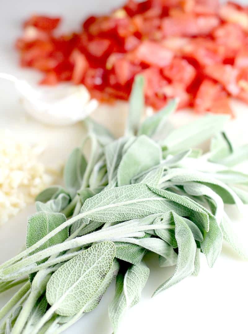 Gnocchi with Olive Oil, Tomato, and Parmesan
