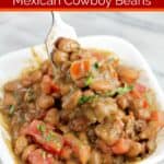 pin image with text overlay recipe title
