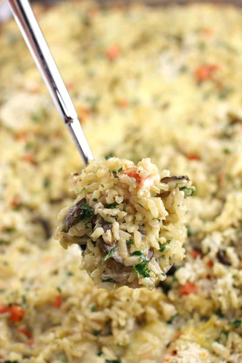 spoon lifting up brown rice