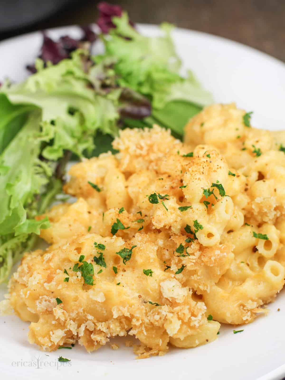 close view of prepared recipe on white plate with salad