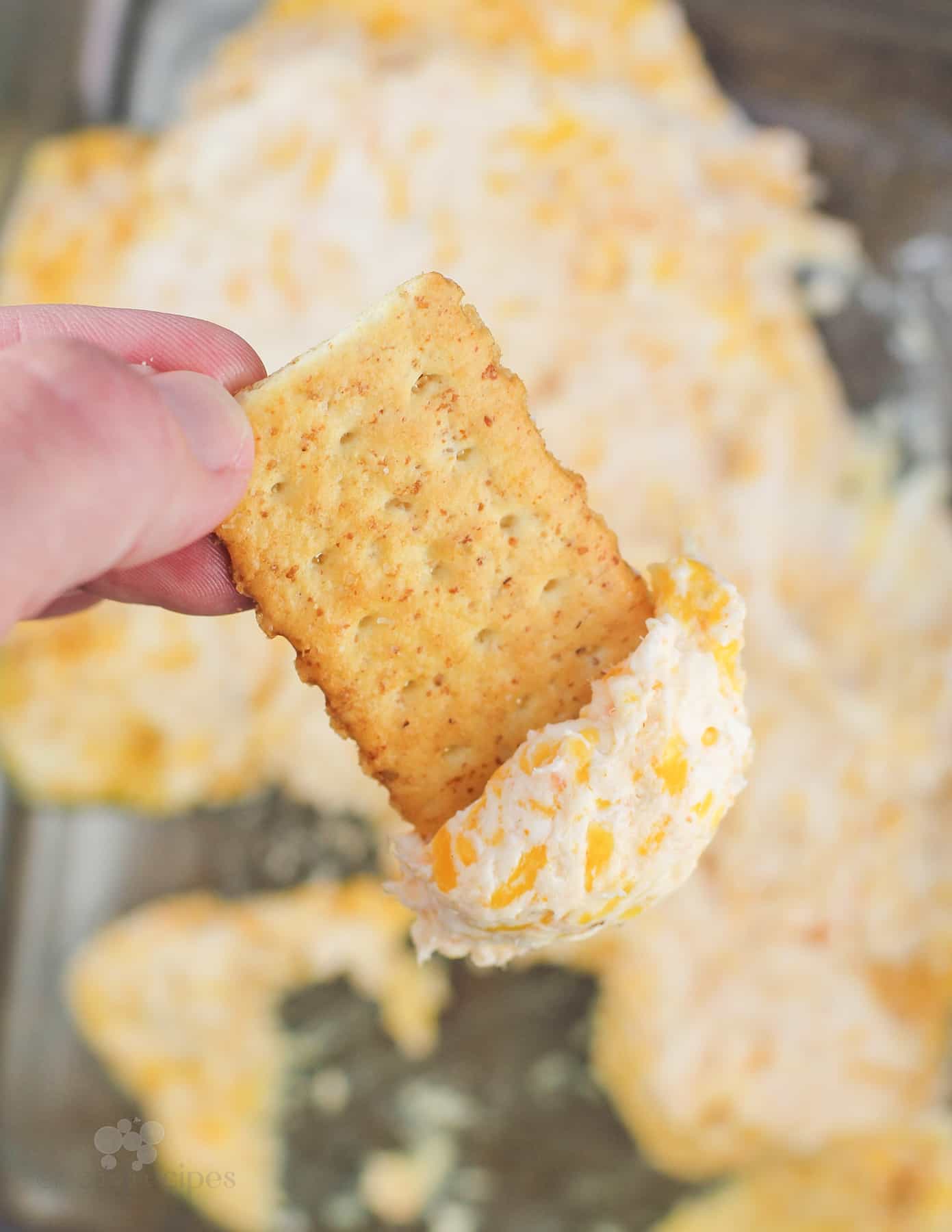 hand holding a cracker with shrimp dip on it