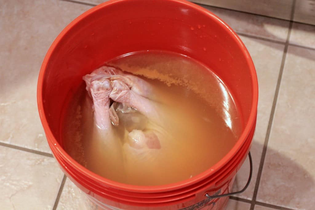 Apple Cider and Beer-Brined, Holiday Turkey with AppleJack Giblet Gravy