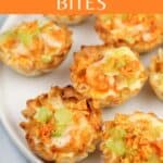 image for Pinterest with test overlay recipe title