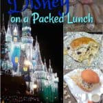 Disney on a Packed Lunch #food #travel #disney #kids #florida #lunchideas