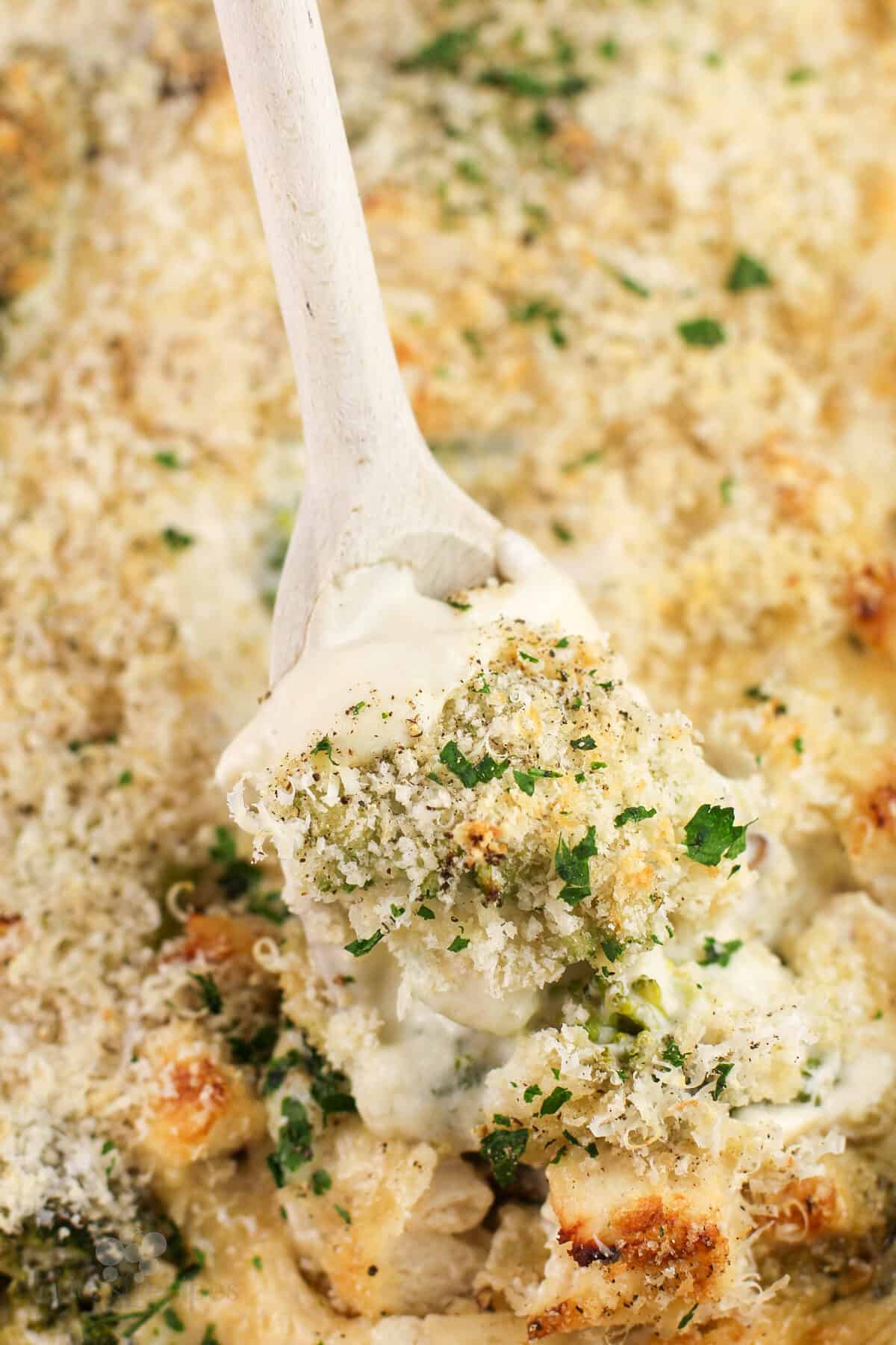 spoon inserted into cooked chicken divan