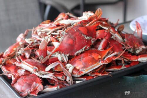 Classic Steamed Blue Crabs