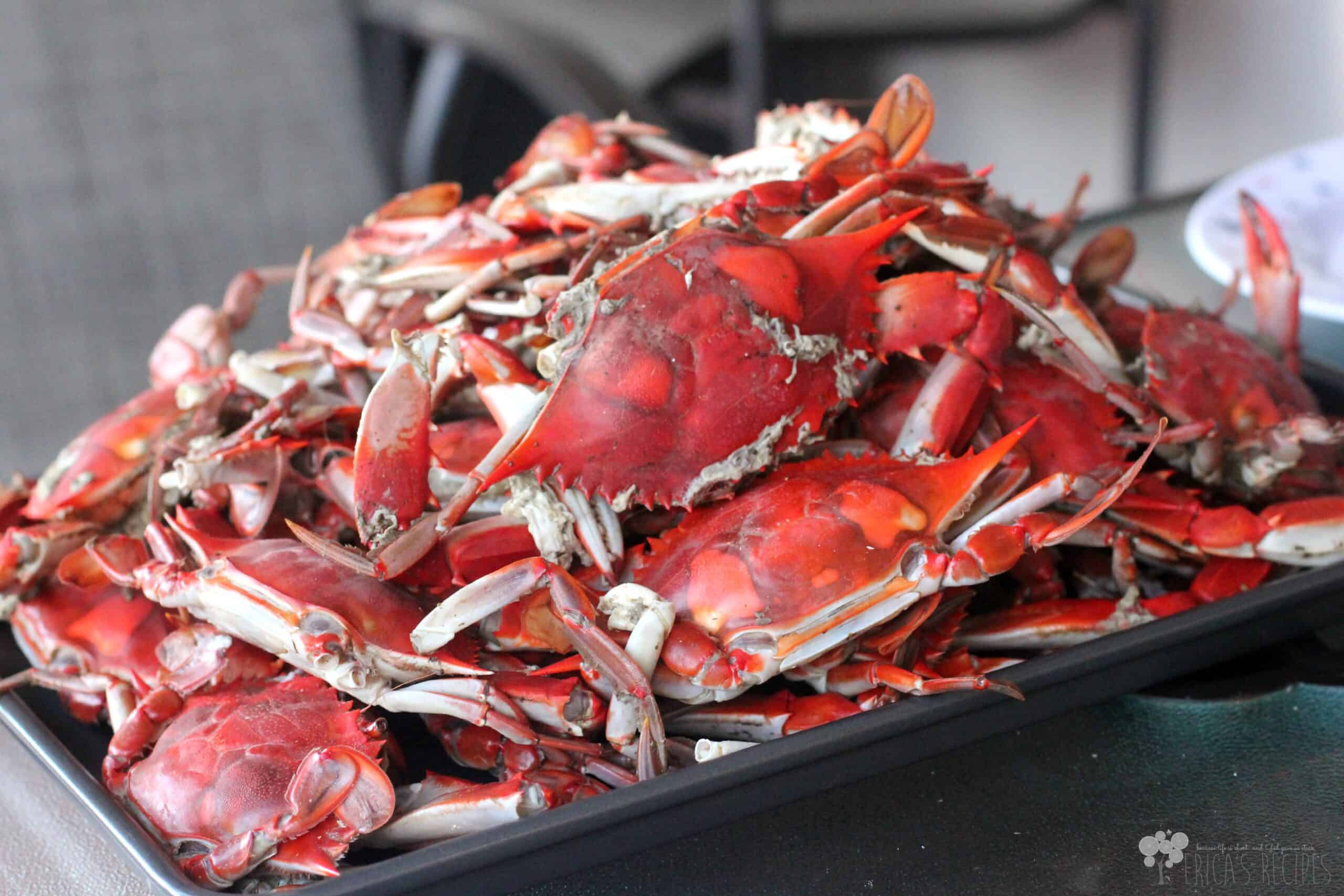 Classic Steamed Blue Crabs