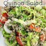 pin image with text overlay recipe title