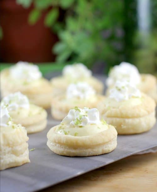 5 Ingredient Coconut Lime Tarts https://wp.me/p4qC4h-3EB