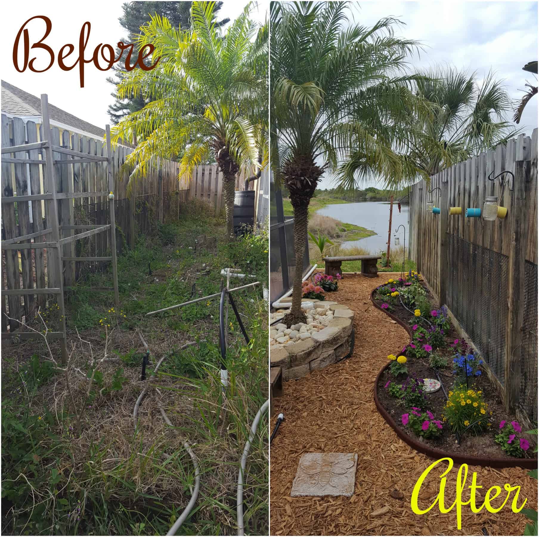 Garden Transformation: Trainwreck to Bee Haven