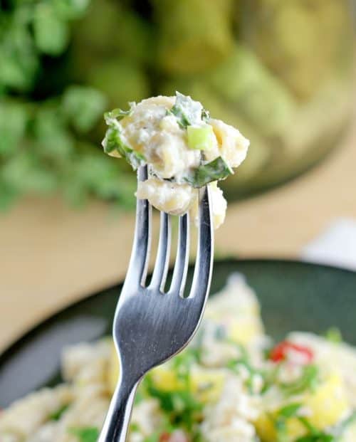 Creamy Vegan Vegetable Primavera