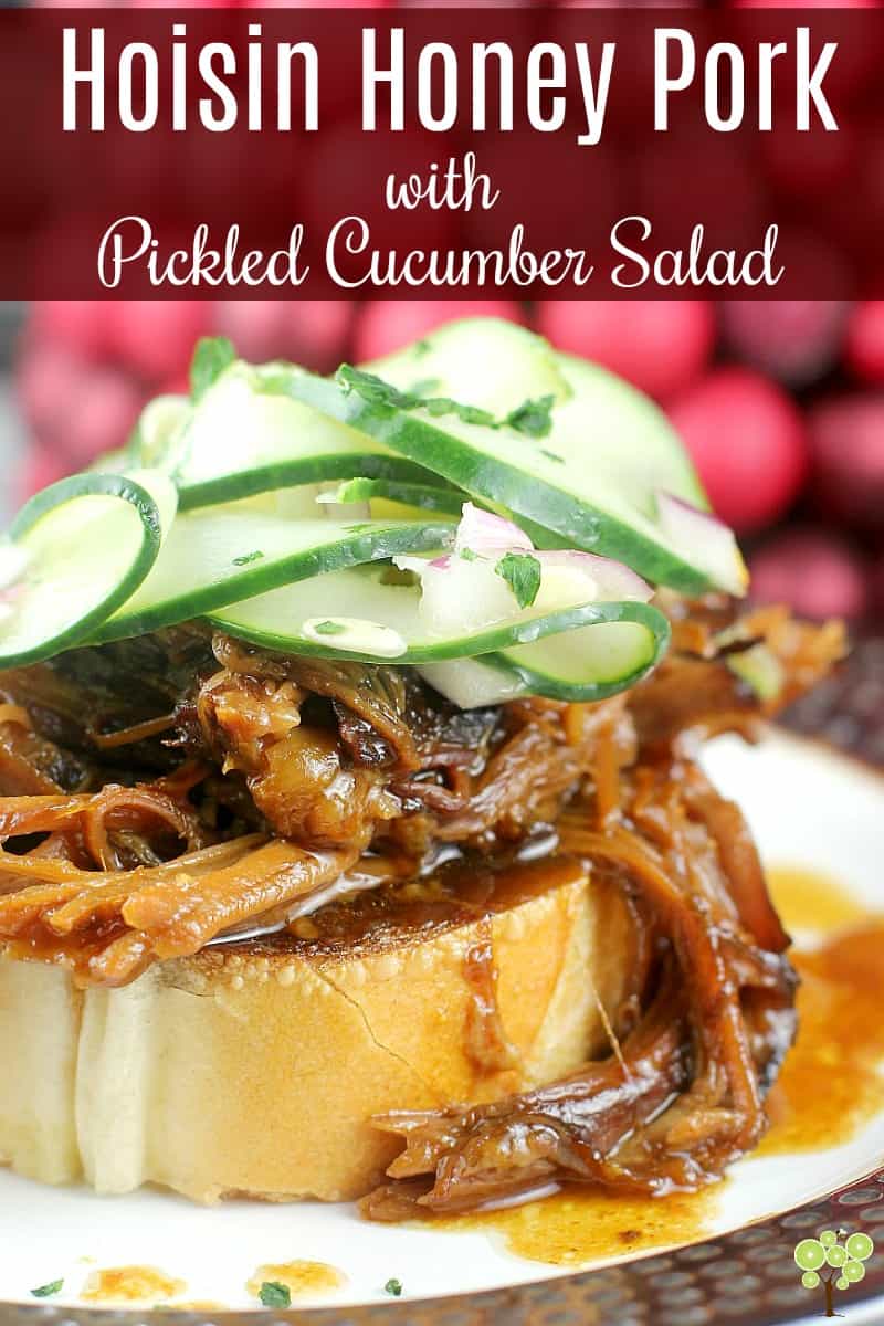 Hoisin Honey Pulled Pork with Pickled Cucumber Salad #DonVictorHoney #HoneyForHolidays #ad