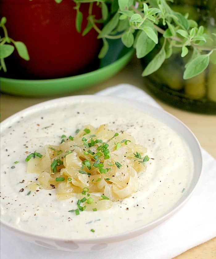 Vegan Caramelized Onion Dip