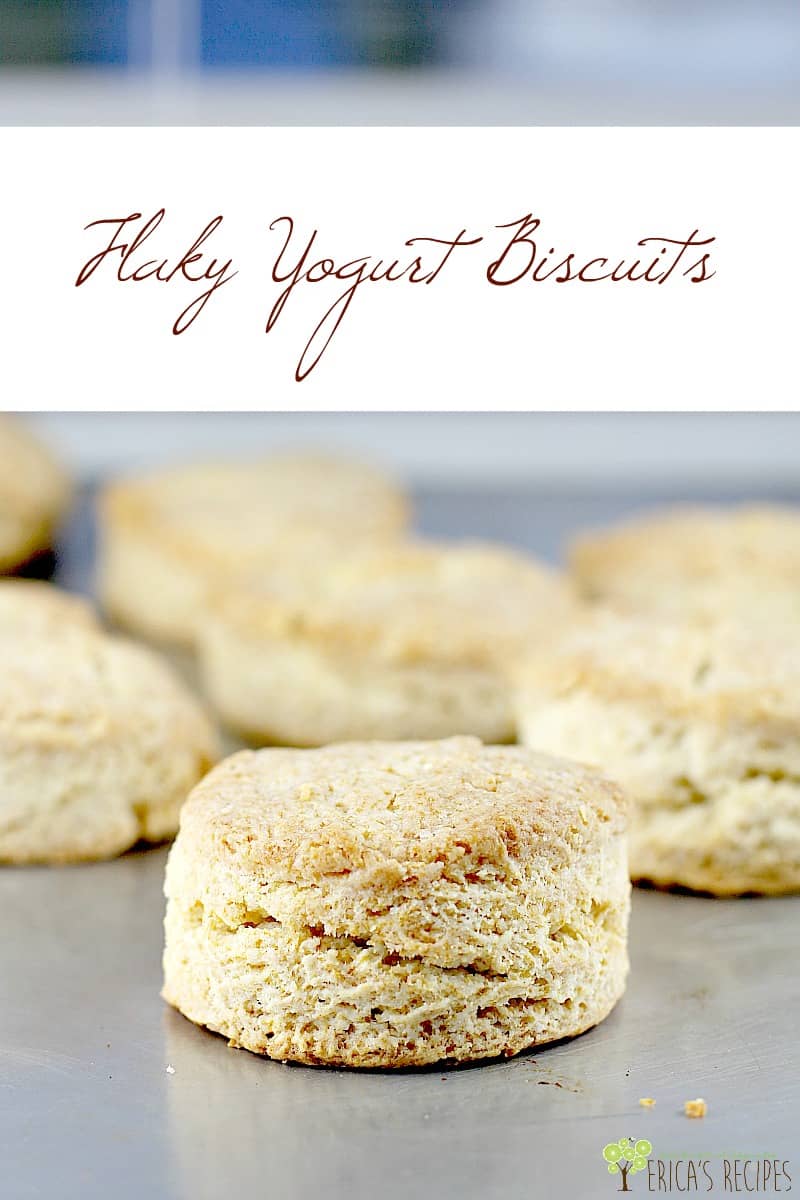 Buttery, flaky, dreamy light biscuits made with Greek yogurt as a substitute for buttermilk. These Flaky Yogurt Biscuits are everything you expect from a quick biscuit and this recipe is to the rescue when you want biscuits, but don't have buttermilk on hand. #food #recipe #breakfast #biscuit #yogurt #substituteforbuttermilk