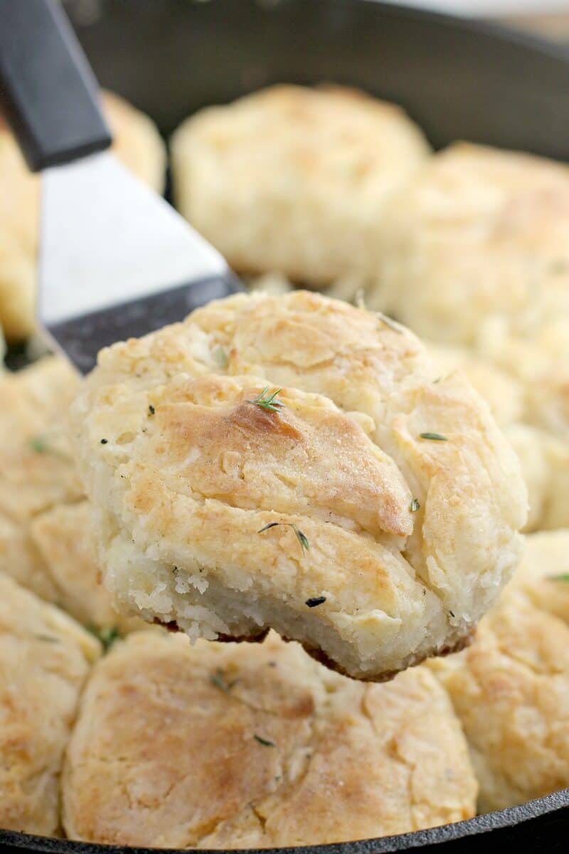 spatula holding a biscuit