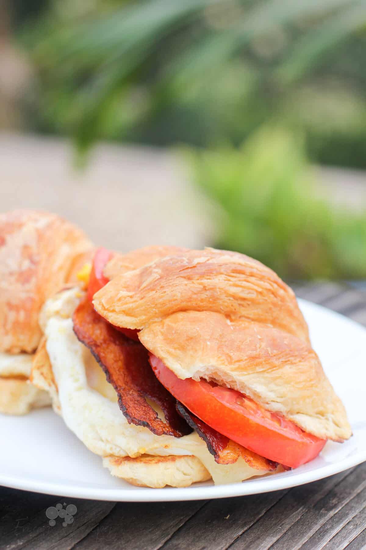 2 assembled sandwiches on white plate