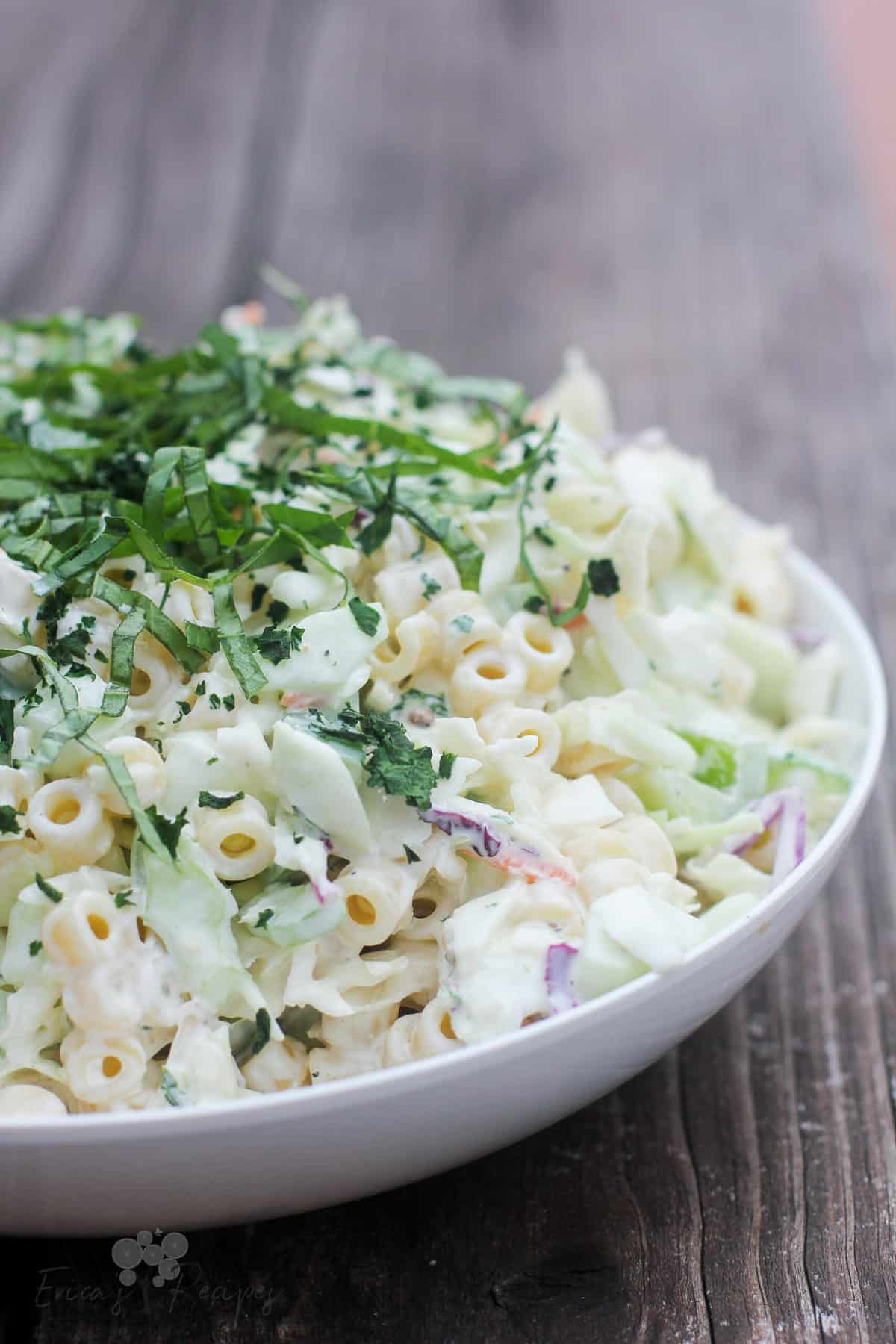 Coleslaw Pasta Salad