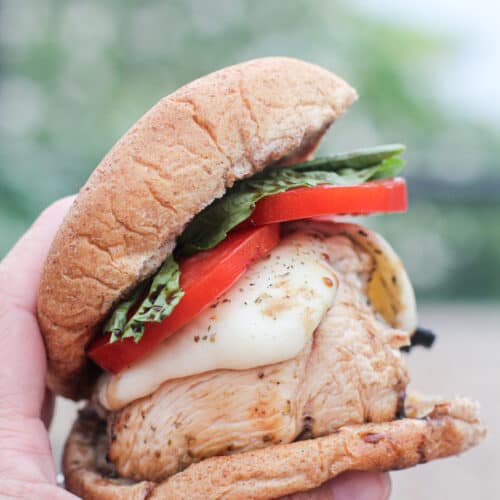 hand holding a grilled chicken caprese sandwich