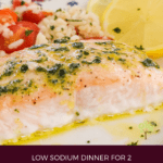 image for pinterest with text overlay recipe title Toaster Oven Salmon