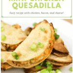 image for pinterest with text overlay recipe title Mini Air Fryer Chicken Quesadilla