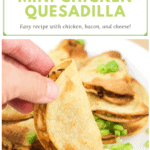 image for pinterest with text overlay recipe title Mini Air Fryer Chicken Quesadilla
