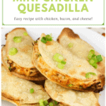 image for pinterest with text overlay recipe title Mini Air Fryer Chicken Quesadilla