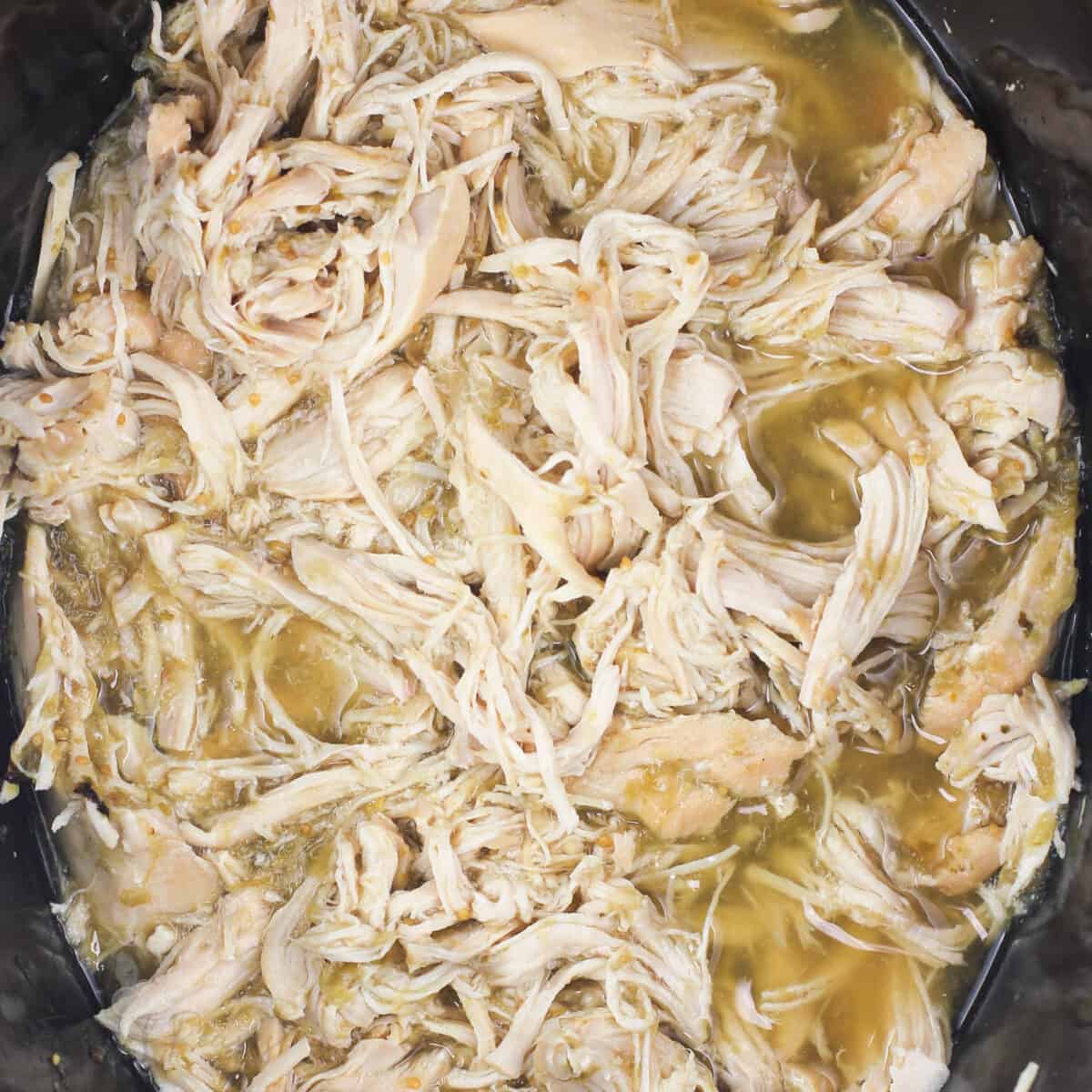 shredded chicken in crock pot
