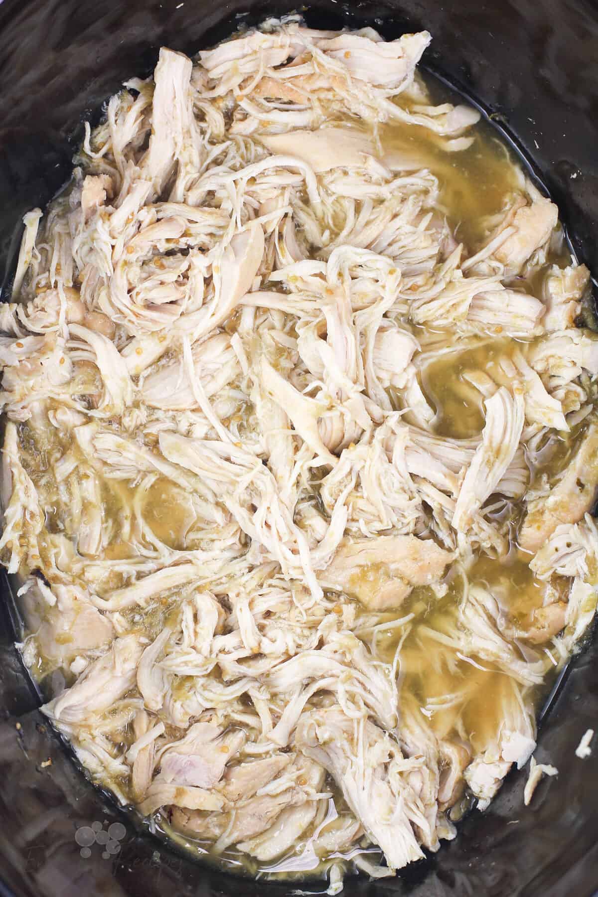 shredded salsa verde chicken in slow cooker
