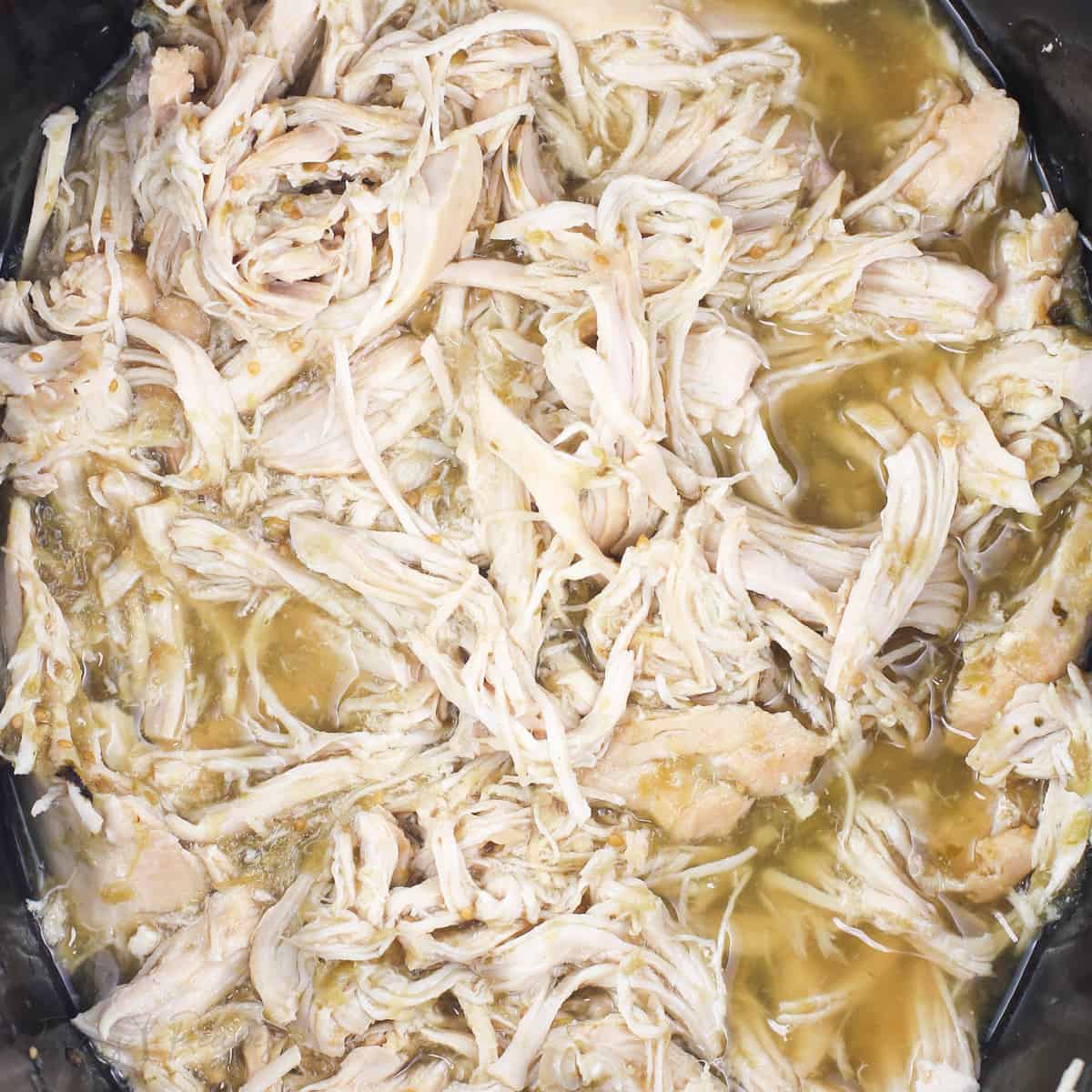 2 Ingredient Salsa Verde Chicken
