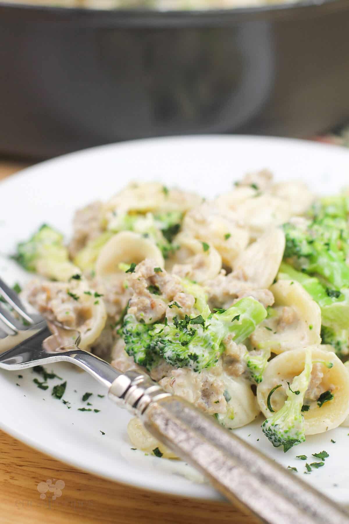 serving of prepared pasta on white dish with fork
