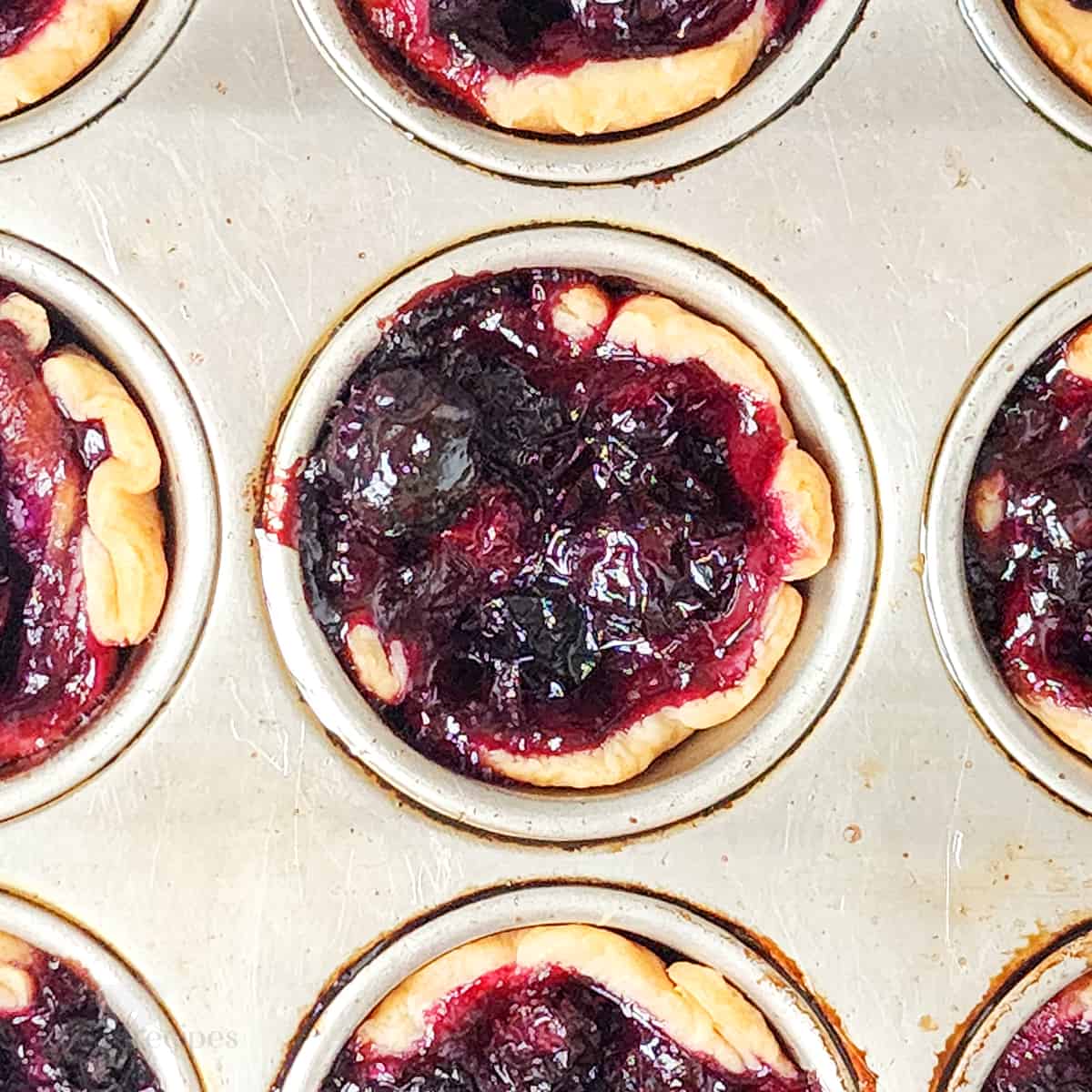 Blueberry Brie Bites