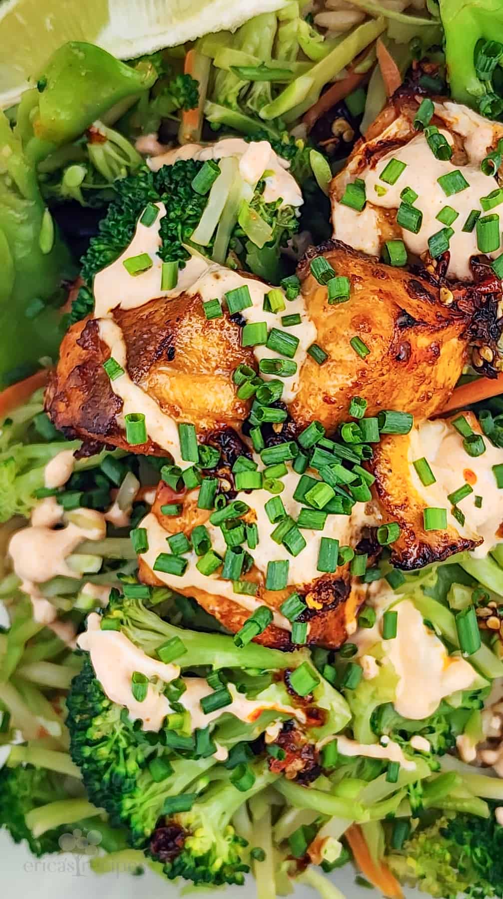 prepared salmon and vegetables