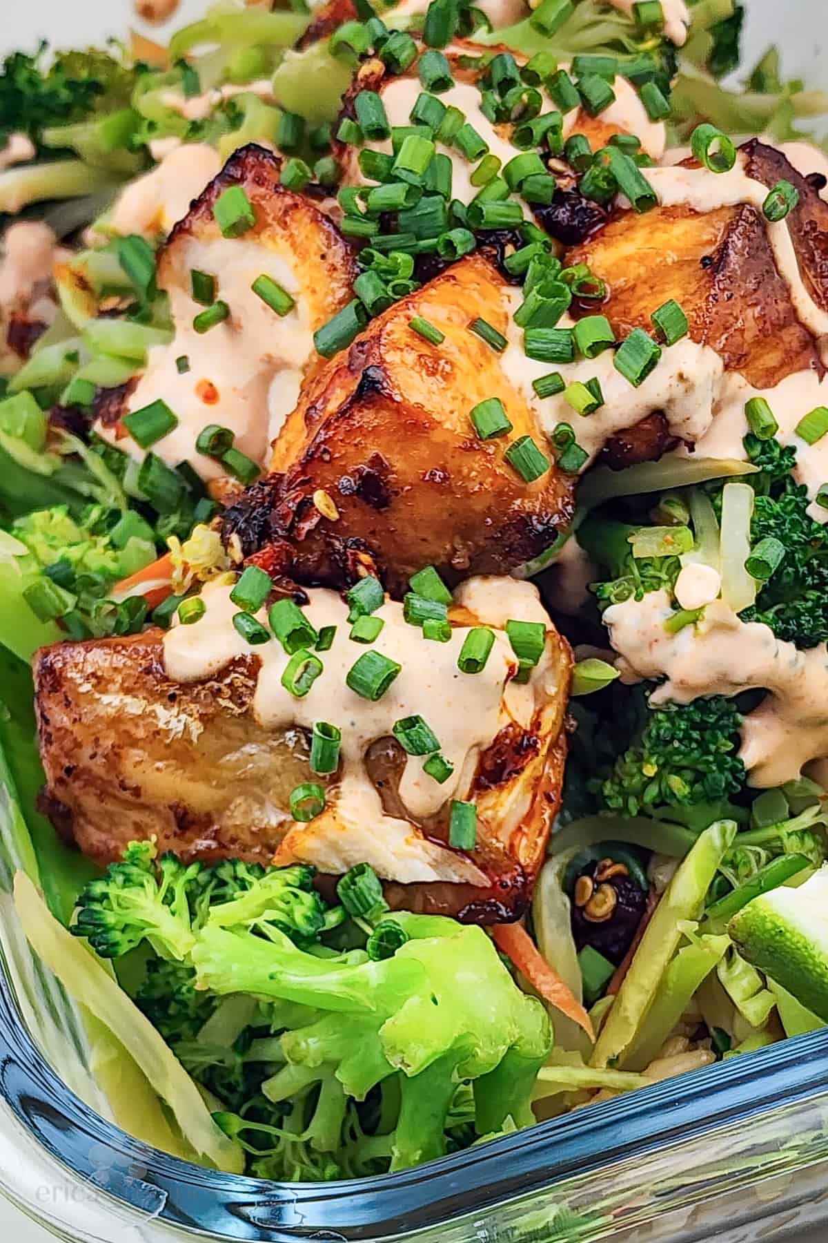 prepared salmon and vegetables