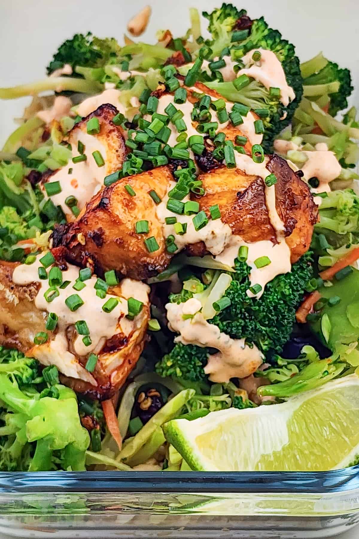 prepared salmon and vegetables