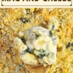 image for pinterest with text overlay recipe title Poblano Mac and Cheese