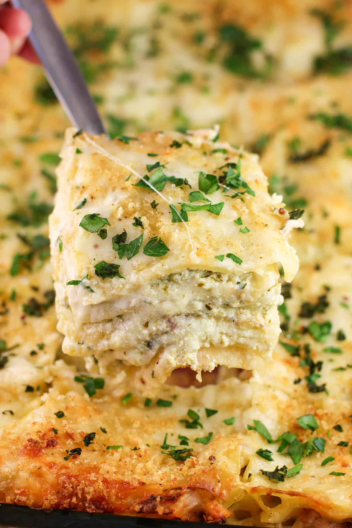 spatula holding a large square of lasagna
