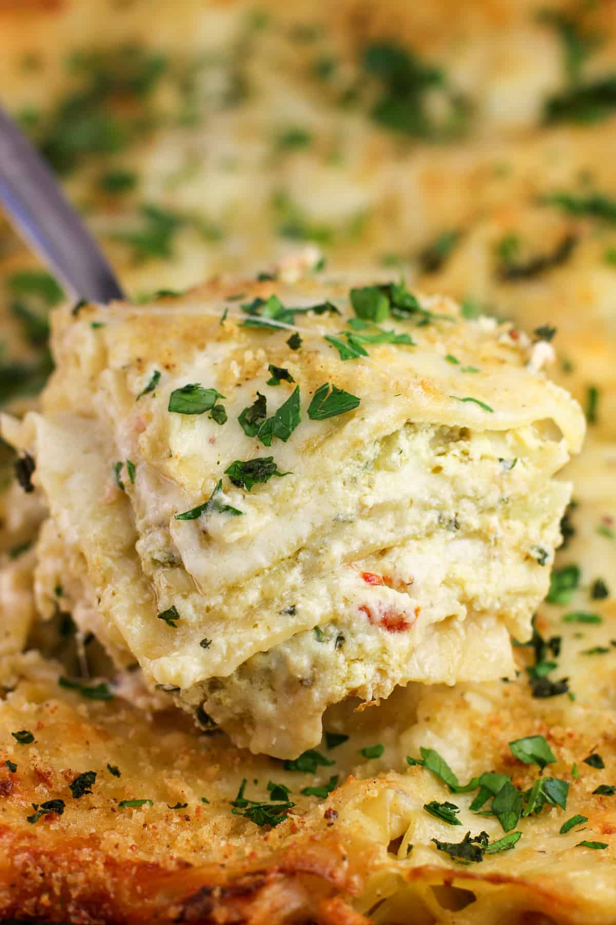 Pesto Salmon Lasagna